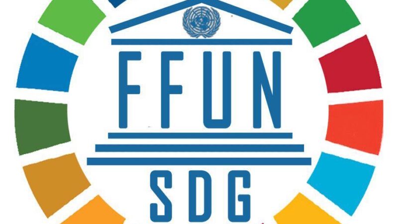 Maurizio Aronica e la Foundation for United Nations SDG: Un Impegno Globale per la Cooperazione Internazionale